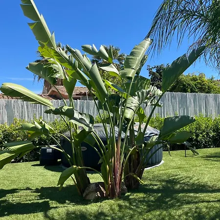 Mar Mediterraneo Holiday home